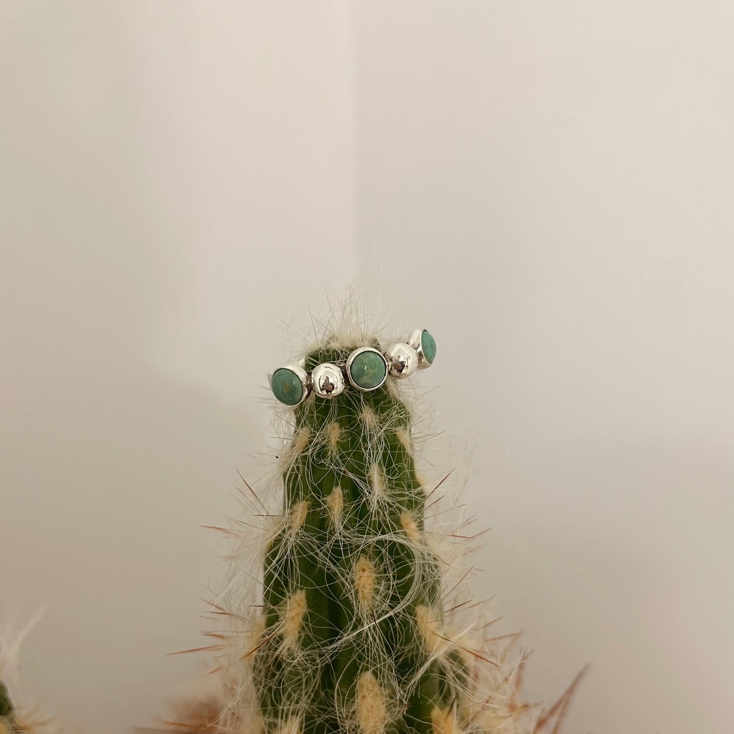 The Stella Band - Preorder