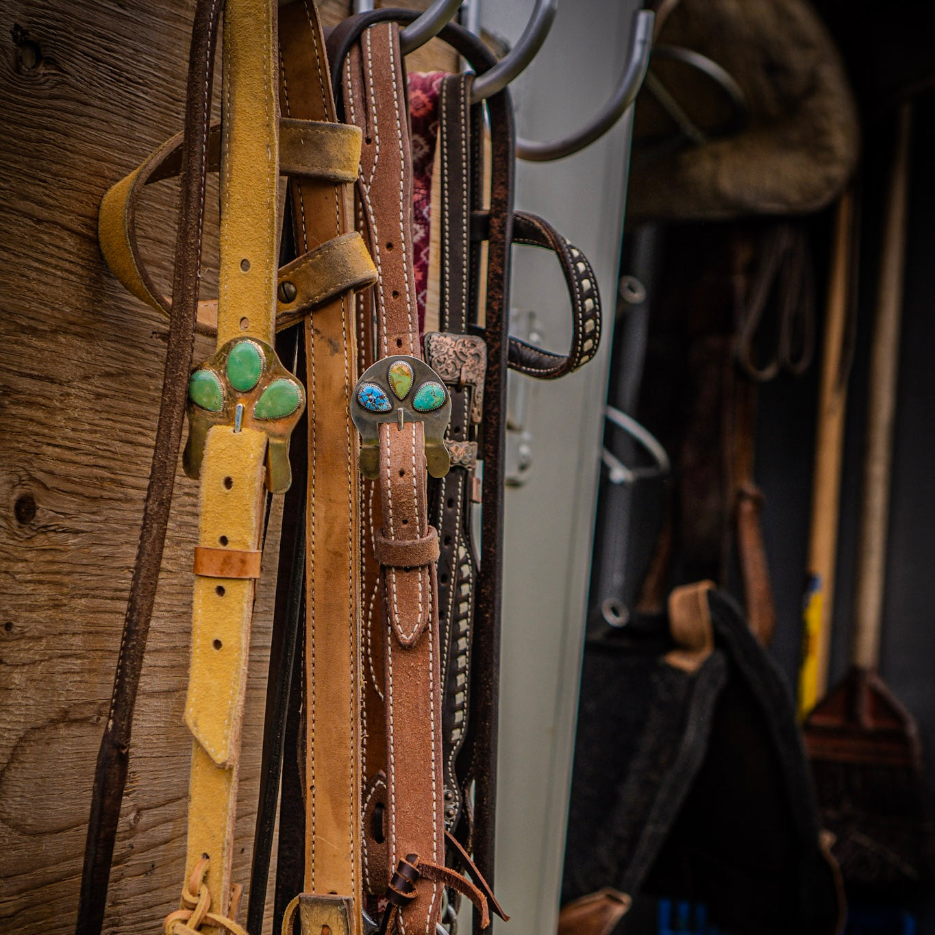 Mixed Turquoise Headstall