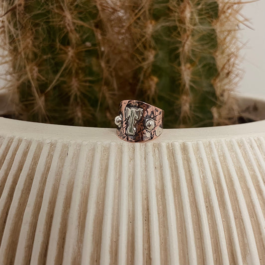 The Wild West Ring - Initial