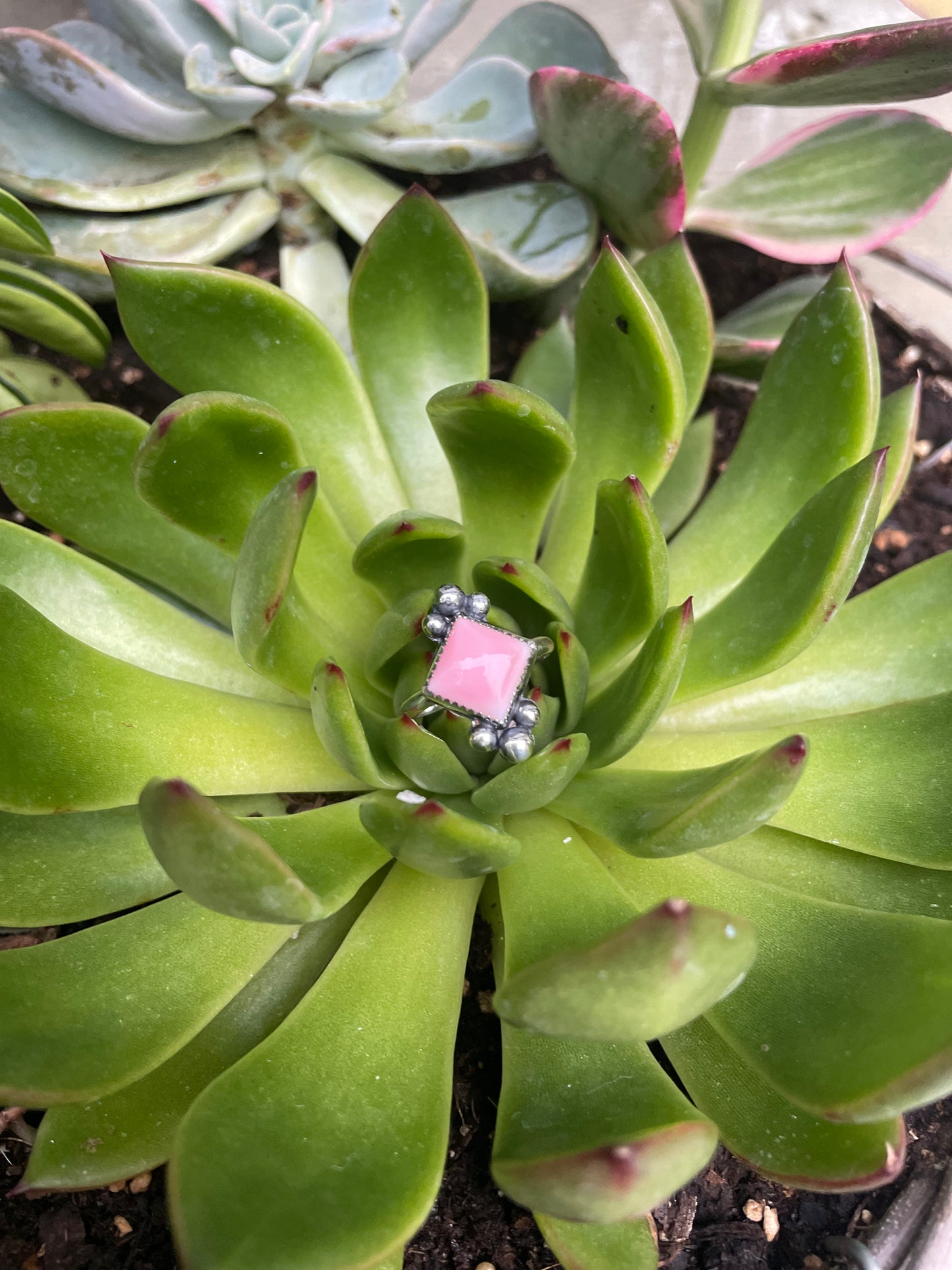 The Harper Ring - Pink Conch
