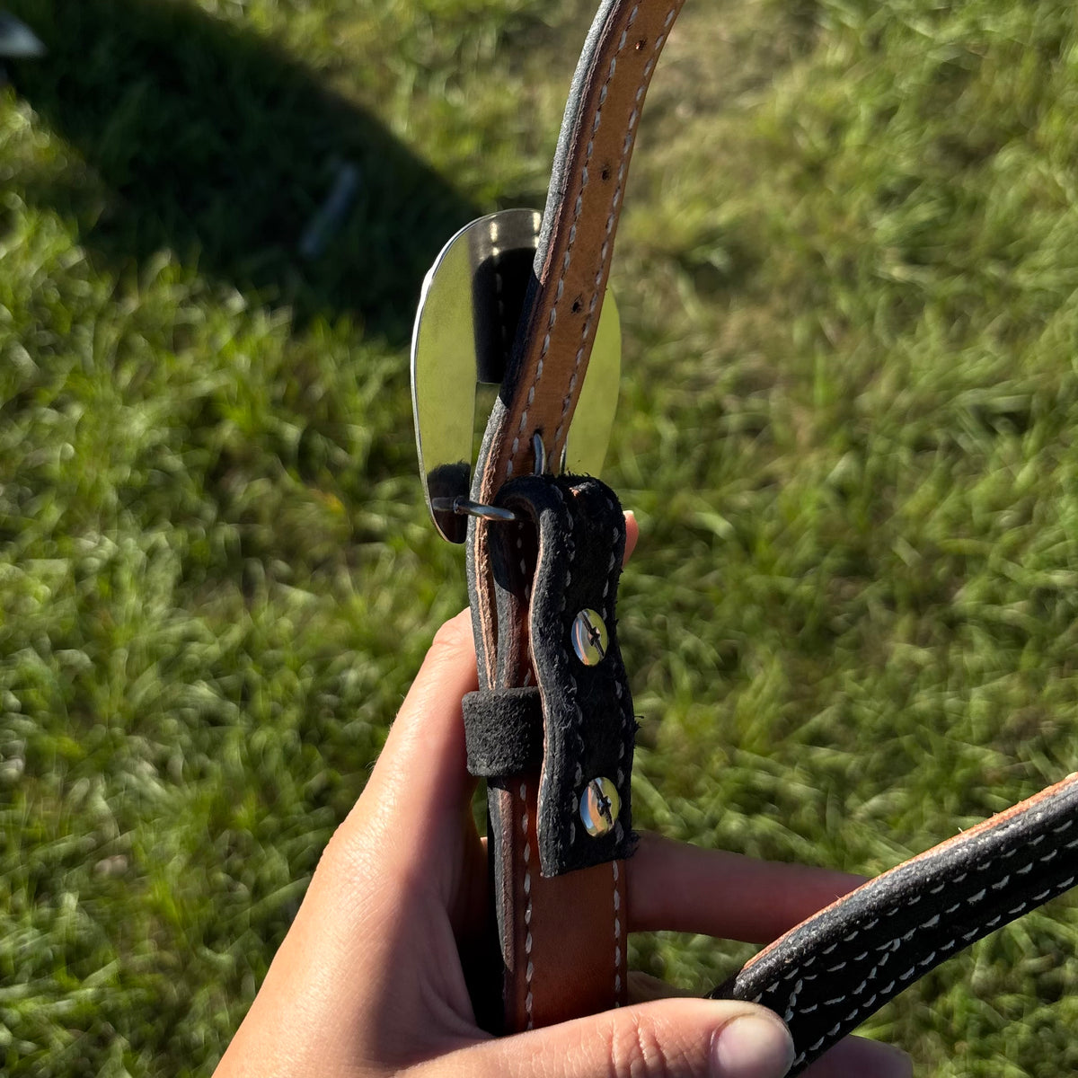Purple/Black Headstall