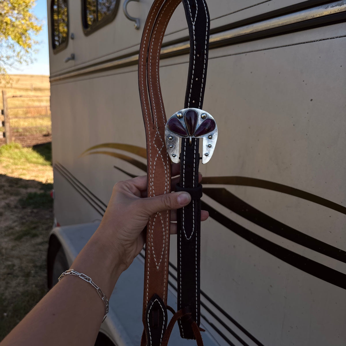 Purple/Black Headstall