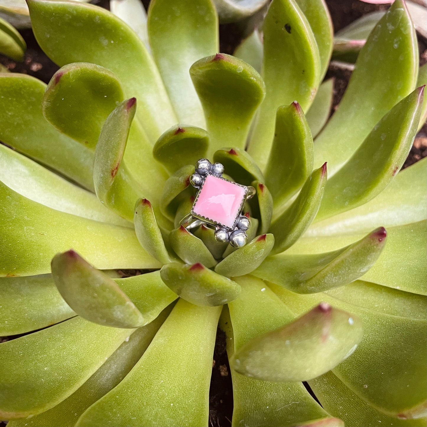 The Harper Ring - Pink Conch