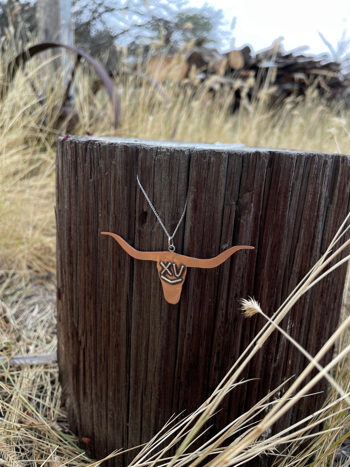 Longhorn Pendant