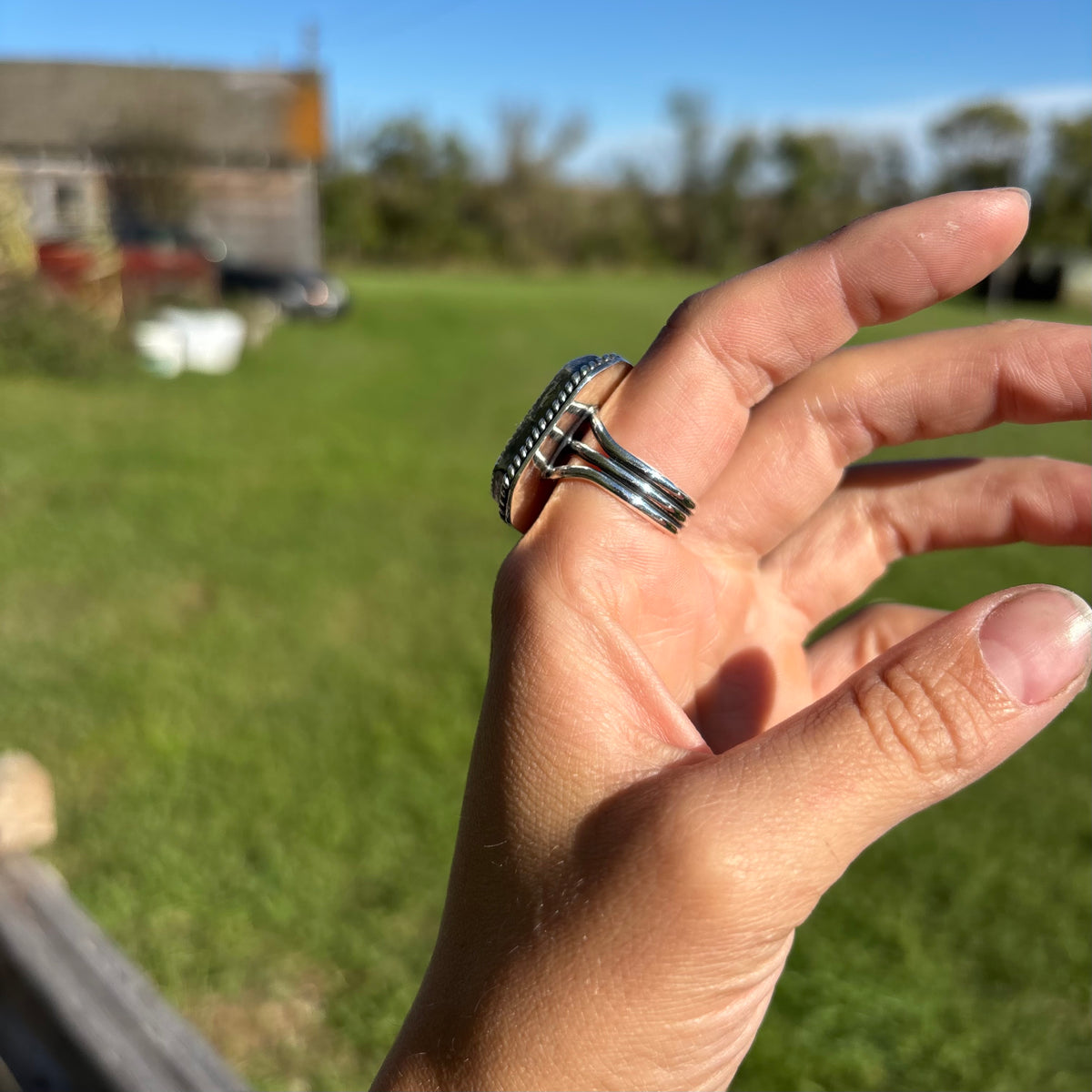 The Bronc Ring